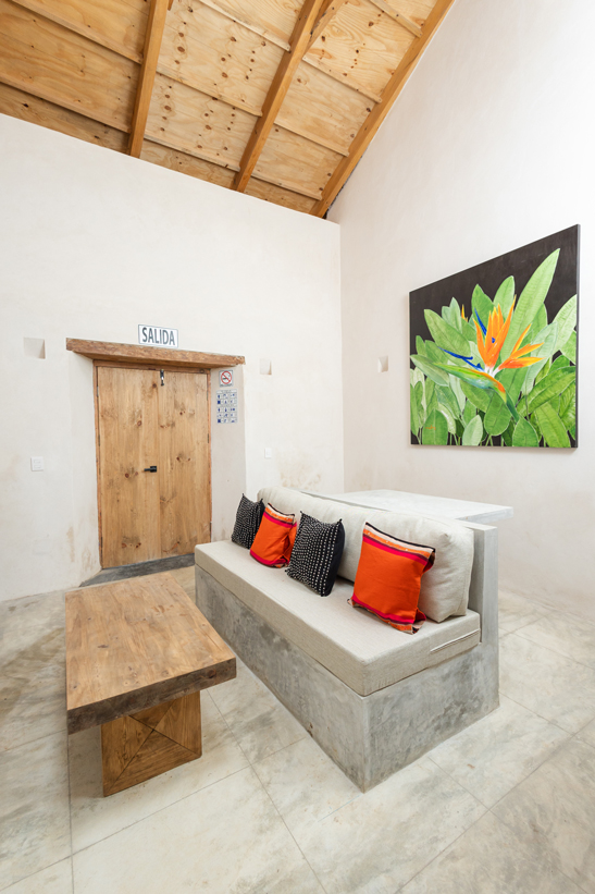 studio1-jungla-02