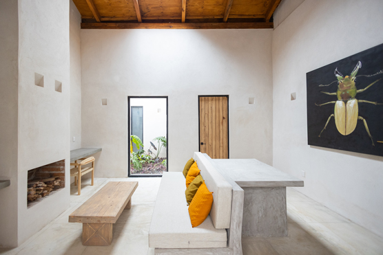 studio3-jungla-09